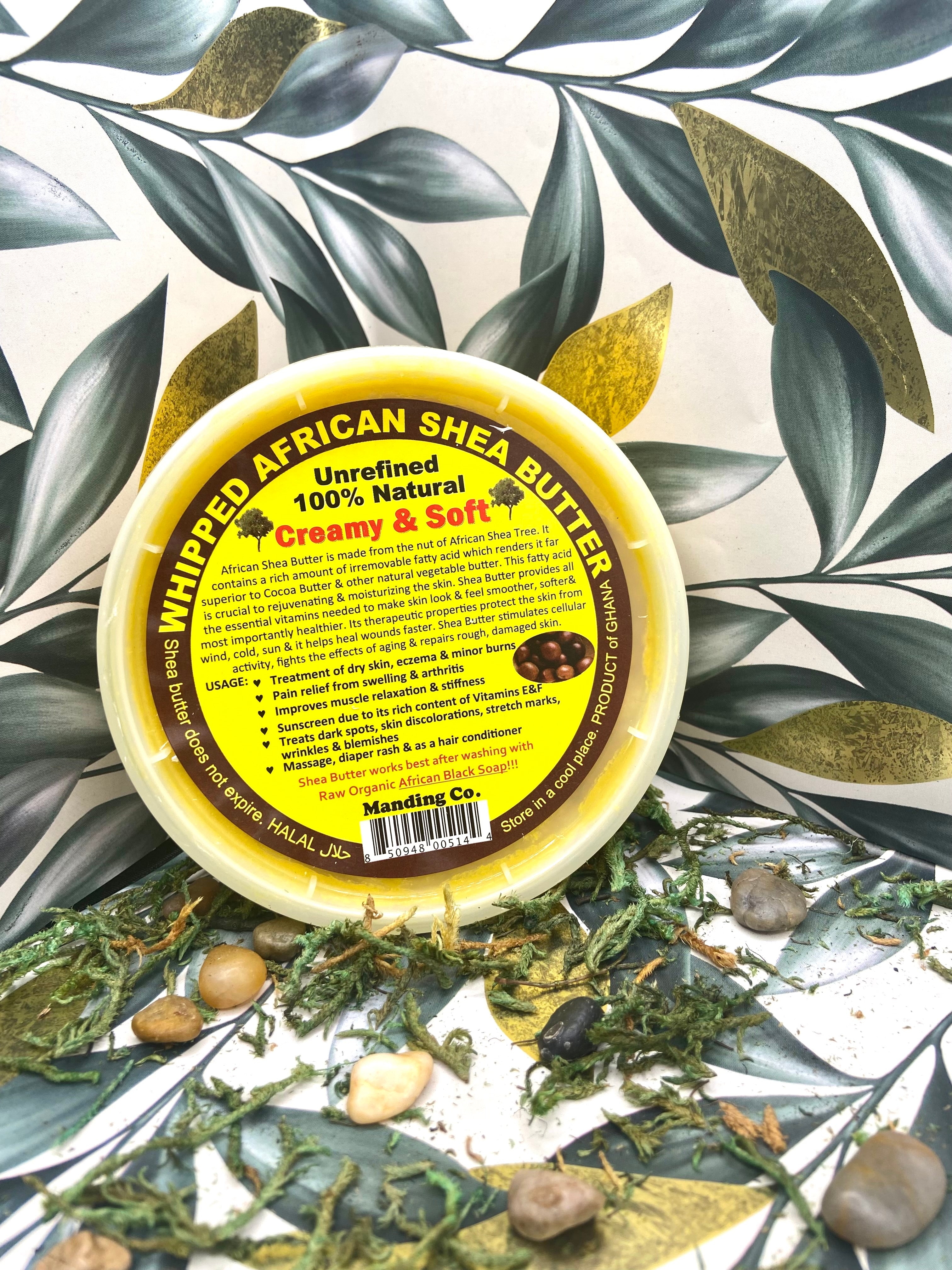 Whipped Shea Body Butter (8 oz)